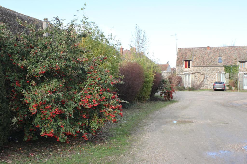 A La Ferme De La Joie - Chambres D'Hotes Chevannes  エクステリア 写真